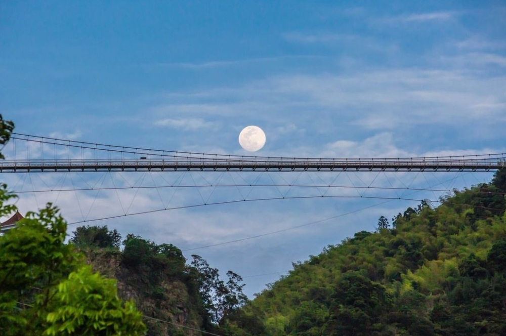 迎微解封！阿里山「滿月掛雲梯、神怡流瀑」如仙境