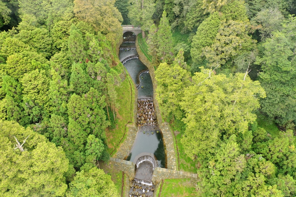 嘉義林管處提供