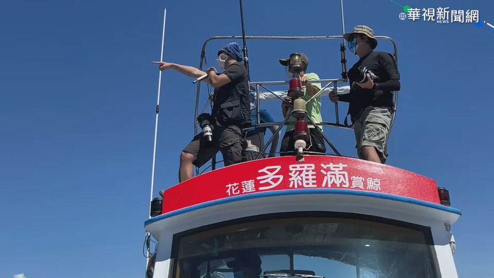微解封首日 國旅基隆團防疫不敢鬆懈