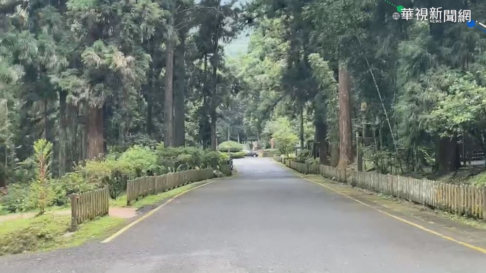 溪頭只開放住客 微解封遊客撲空失望