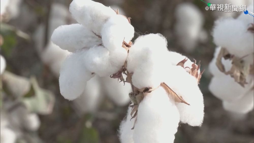 美更新商業警示 涉新疆供應鏈恐觸法