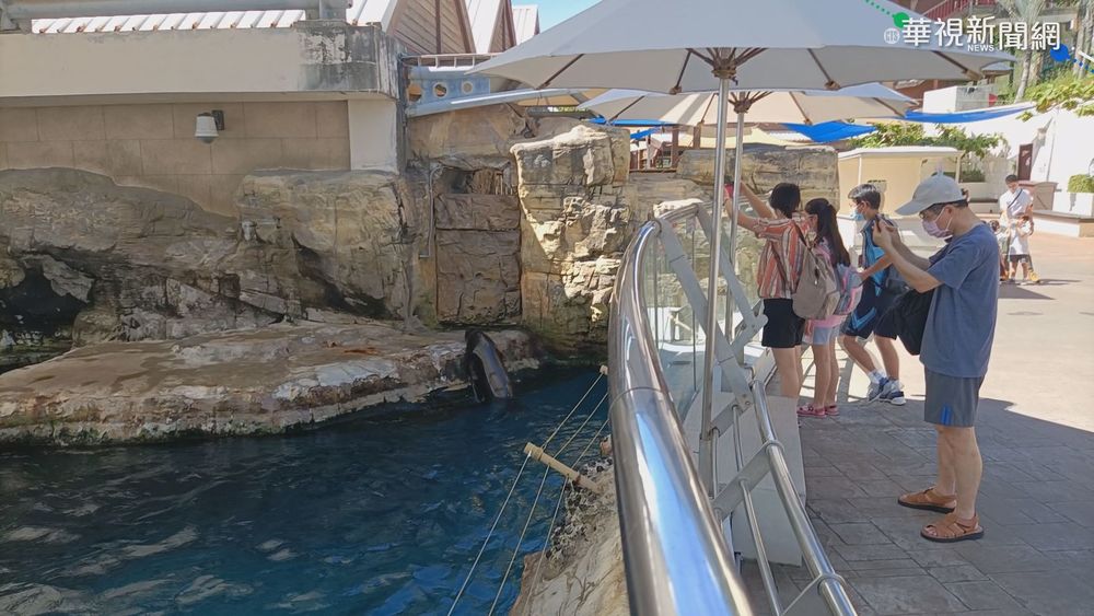 微解封首週末 樂園湧人潮.太魯閣現車流