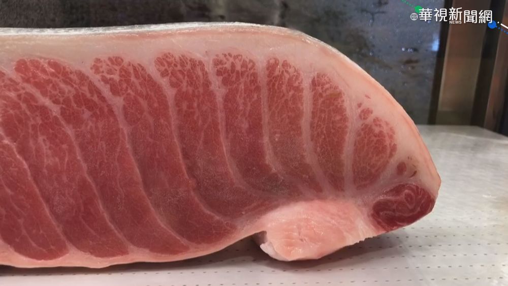 每公斤2千剩149元 黑鮪魚最慘"疫"年