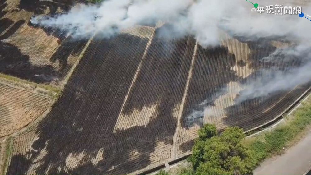 雲林首創露天燃燒通報平台 開罰21件