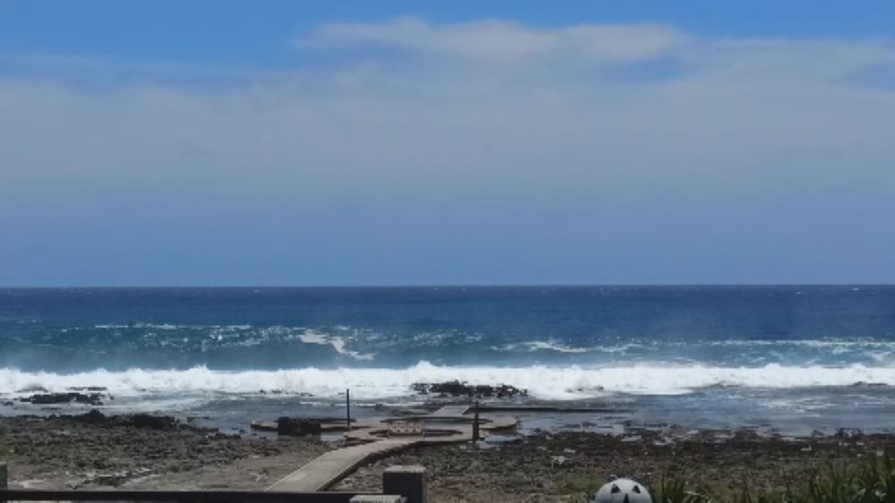 "烟花"步步進逼 礁溪農民搶收火龍果