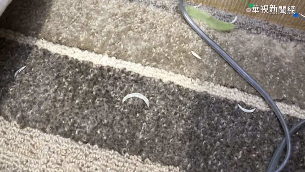 防疫旅館住到起紅疹 業者嗆:嫌就換別家