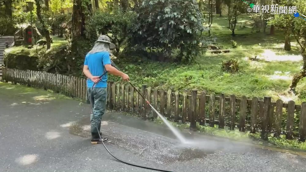 南投溪頭7/27開放購票 人數上限3500人