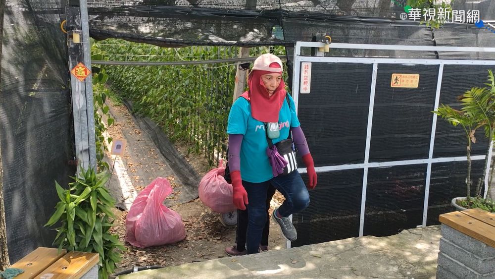 台東吹焚風 破紀錄!太麻里飆到40.6度