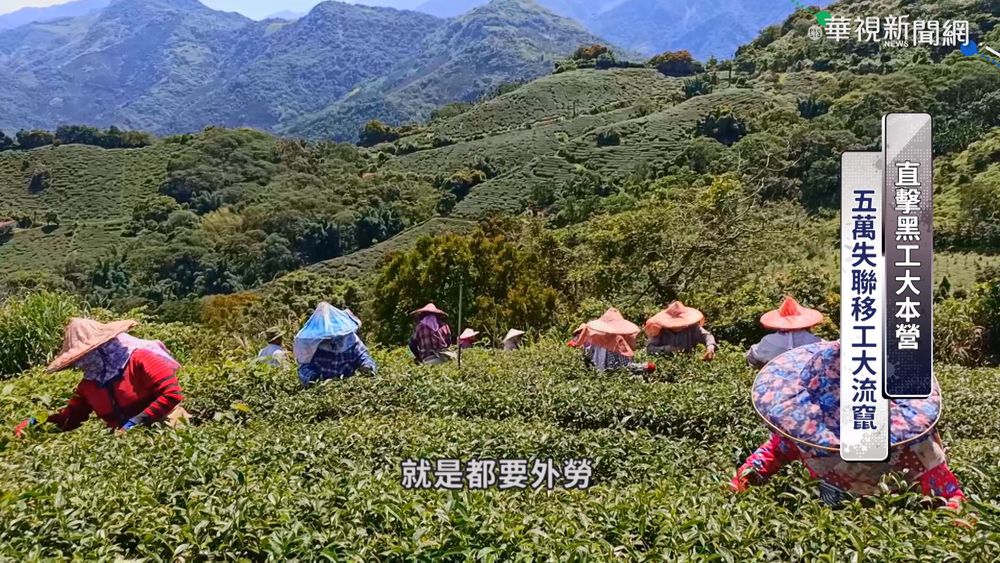 移工逃逸變"黑工" 逾5萬人失聯藏風險