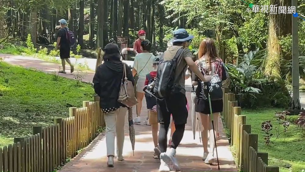 溪頭每天上限3500人 降級首日爆人潮