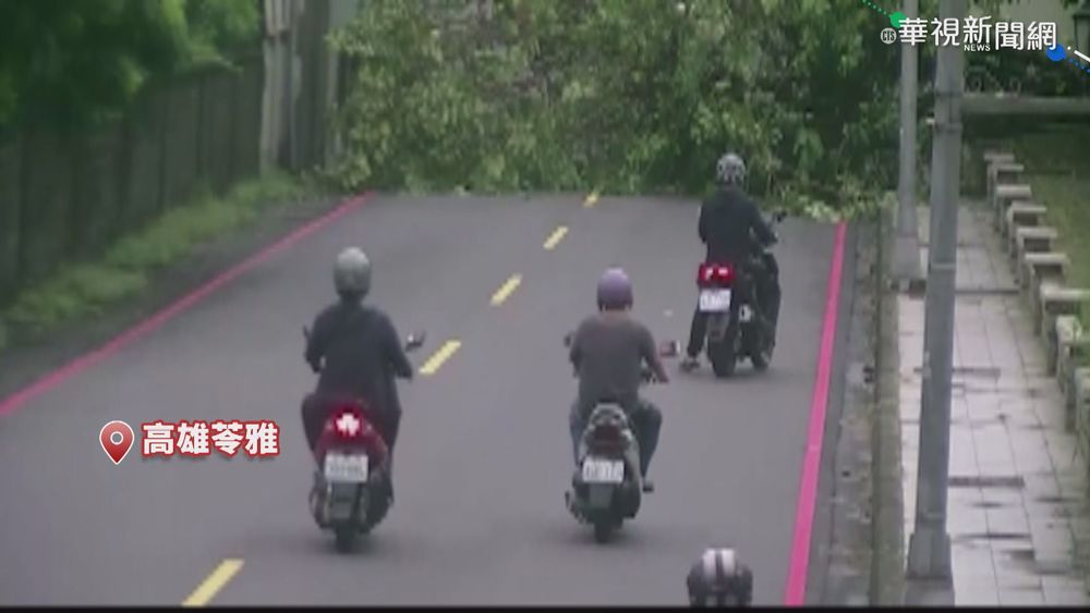 高雄大雨多處積水 路樹倒塌躺路面
