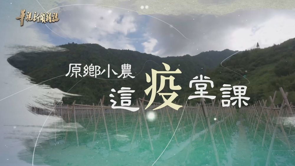田裡求生 堅持友善土地 ｜原鄉小農 這疫堂課｜華視新聞雜誌