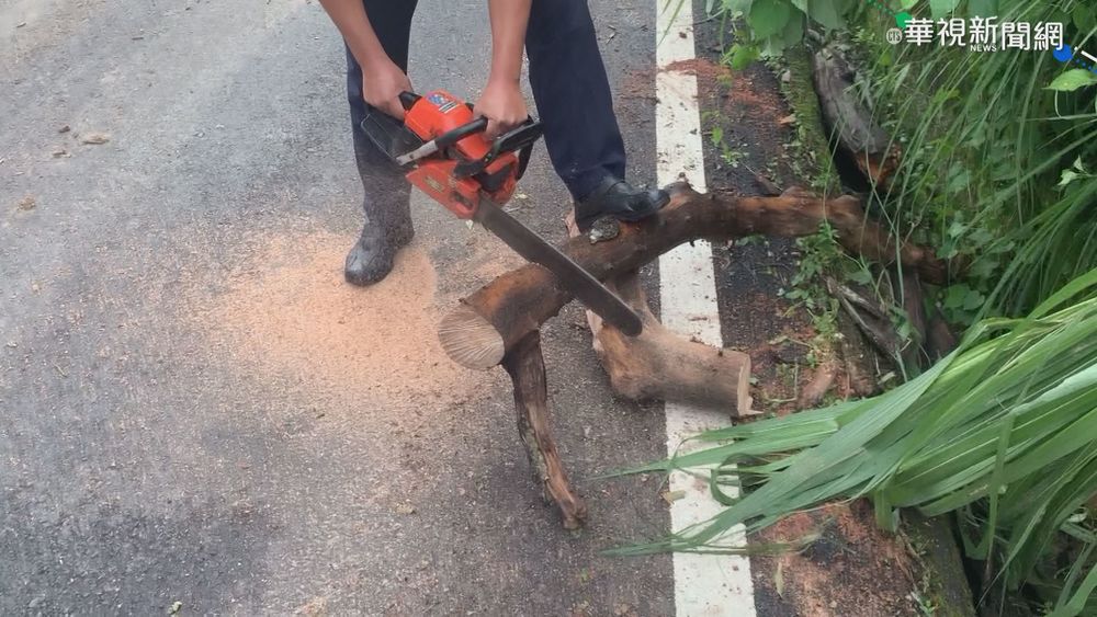 大樹倒路中勇警冒雨鋸斷 民眾大讚