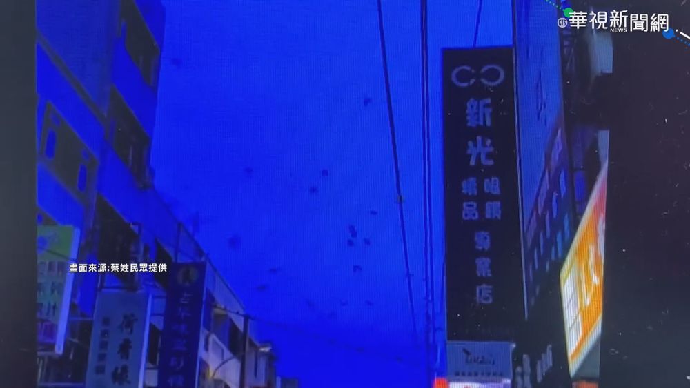 上千燕群低空覓食飛舞 人車遭"流彈"襲