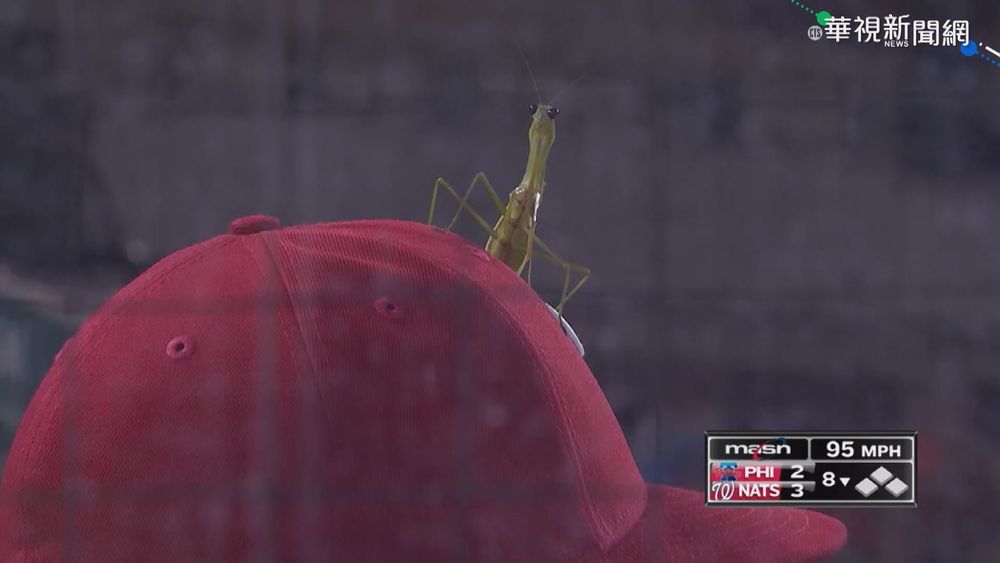 螳螂亂入 Robles帶"新夥伴"上場守備