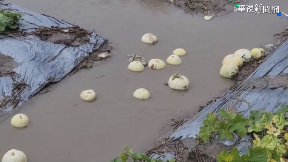 大雨影響! 彰.雲農損嚴重 菜價飆漲