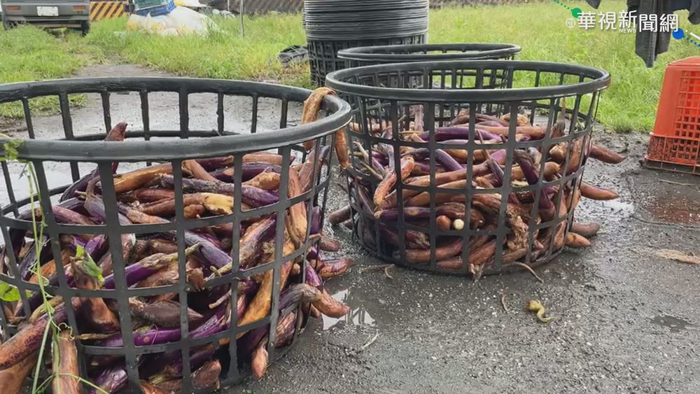 南台灣大豪雨成災 全台農損破2億