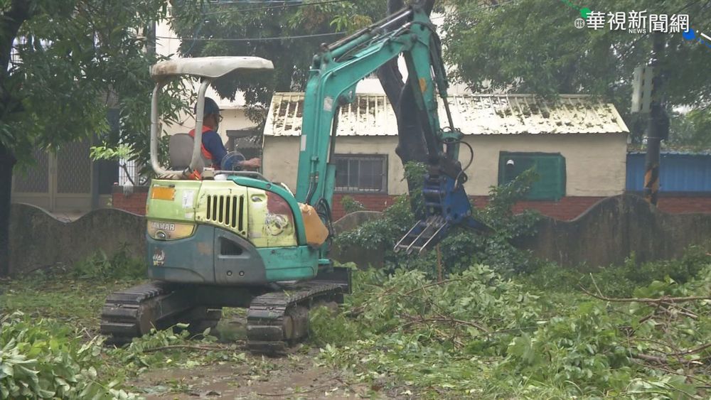 高雄狂風豪雨! 69校樹木遭連根拔起