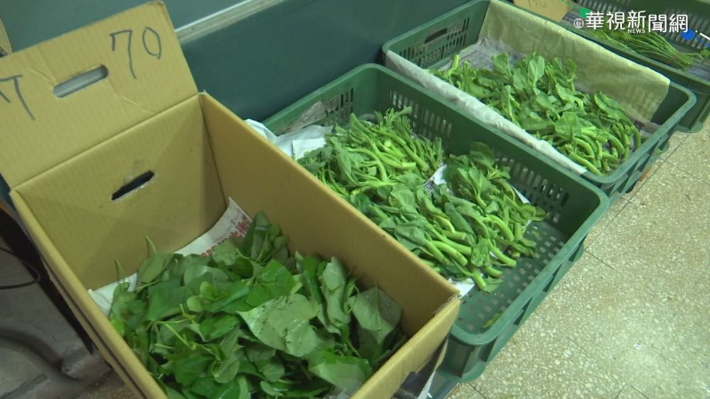 豪雨菜價飆新高! 香菜每台斤漲三倍