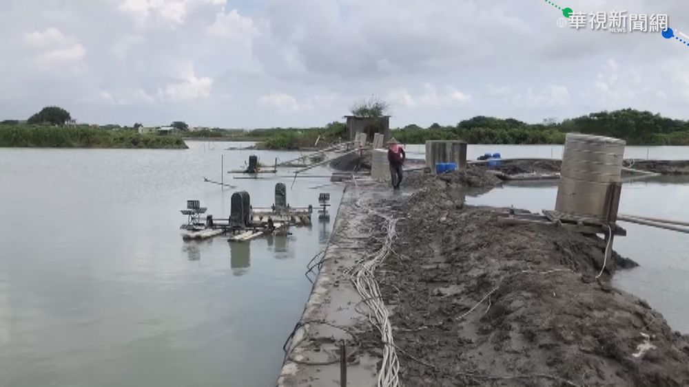 大雨襲南台灣 嘉義蚵棚塌損失8千萬