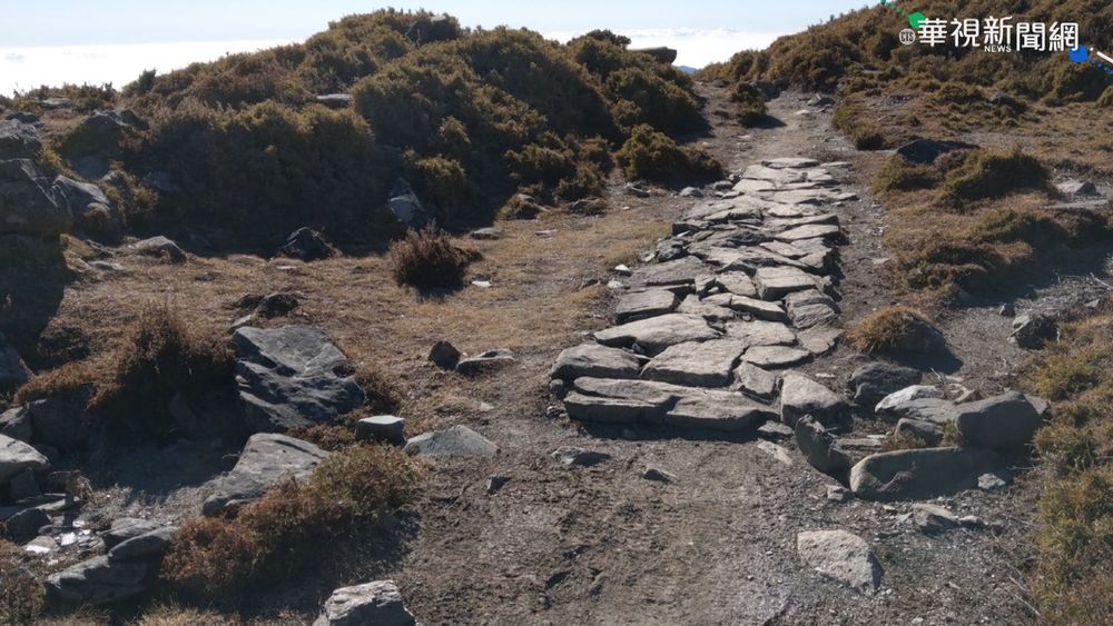 登山條件鬆綁 山友搶報名有限名額