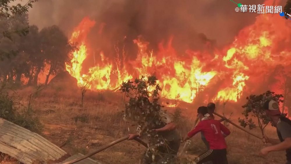野火蔓延環地中海 義大利48.8度創新高