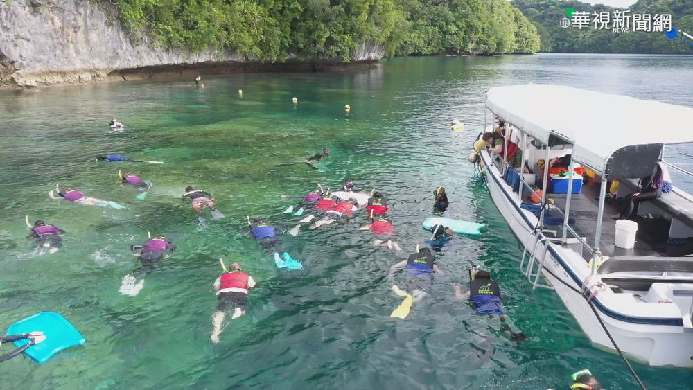 台帛泡泡七夕出發 "限量"疫苗搶翻天