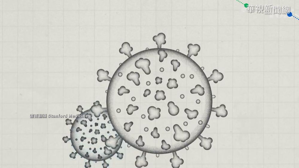 秘魯變種侵亞洲 日首見!東奧人員染疫