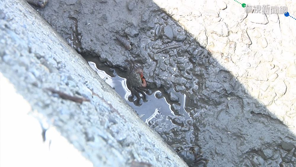 男抓螃蟹遭電死 漏電養殖業者被判刑