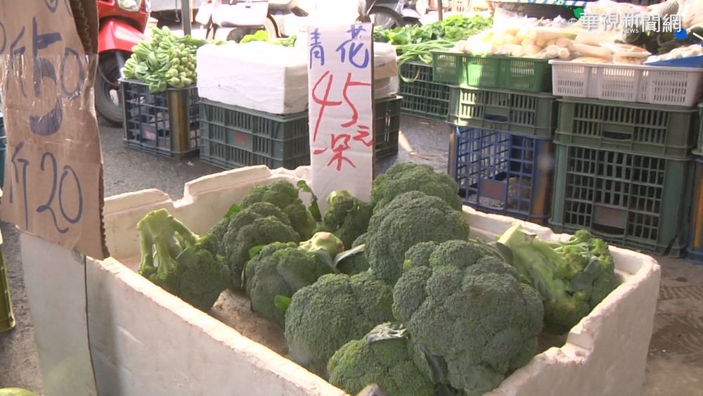 豪雨侵襲菜價飆! 小黃瓜一斤價飆4倍