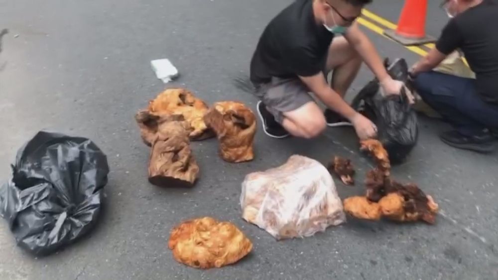 山老鼠拒檢撞警 逃逸越籍男中槍落網