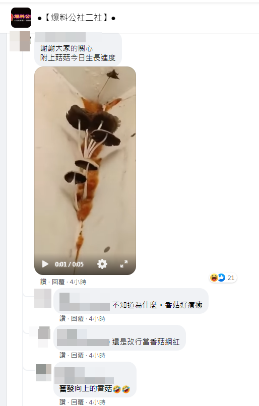 網友留言補充。（翻攝自臉書社團「爆料公社二社」）