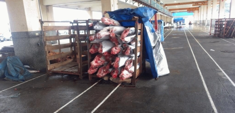 台灣涉非法漁業與海龜混獲 遭美國列黑名單