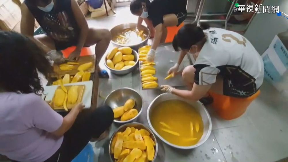 桃源金煌芒果乾買氣旺! 一週銷5千包