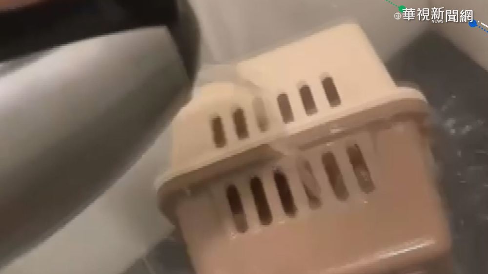 疑為威脅女友 冷血男滾水燙貓遭罰