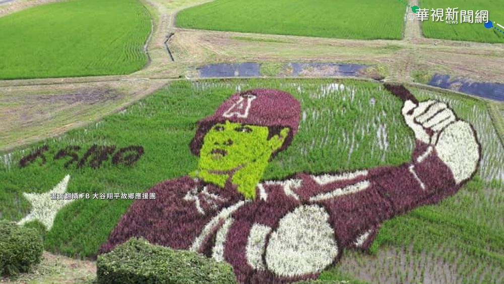 "胖卡布"捉弄大谷翔平 "作案"過程直擊