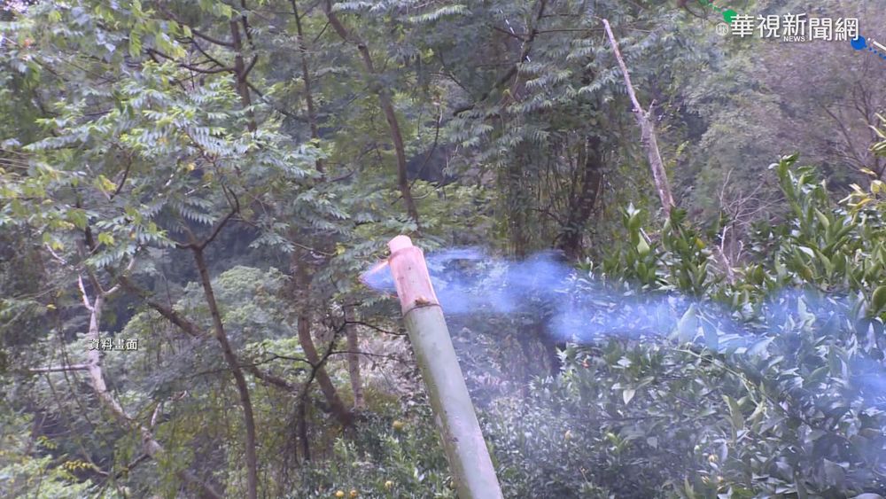 放大龍炮驅猴 果農反炸傷拇指.手掌!