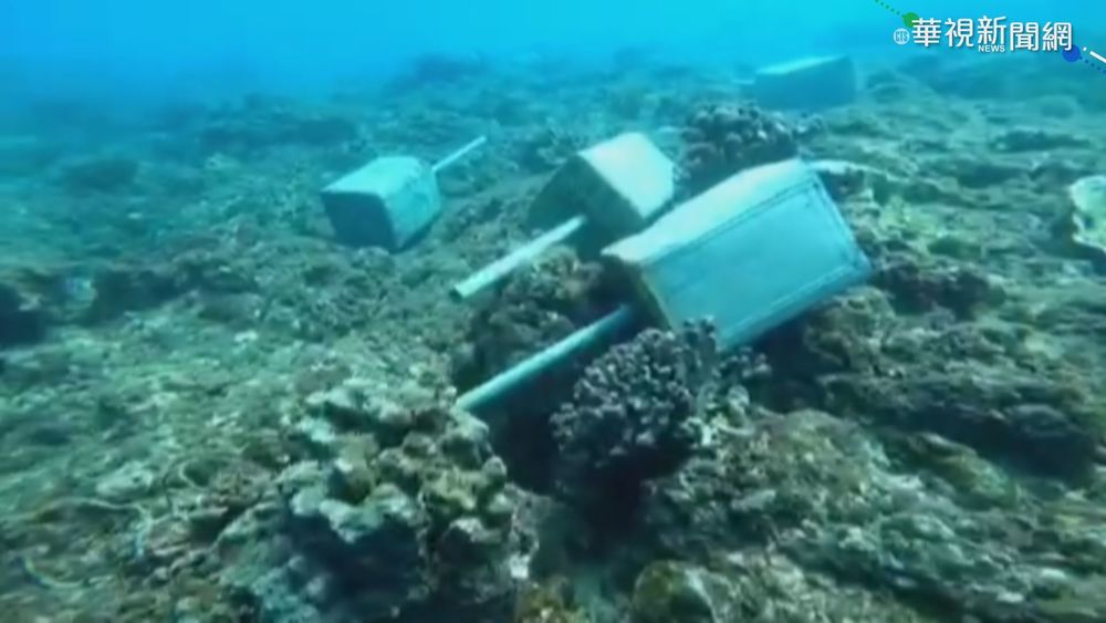 業者投水泥樁砸壞珊瑚 屏縣府怒開罰