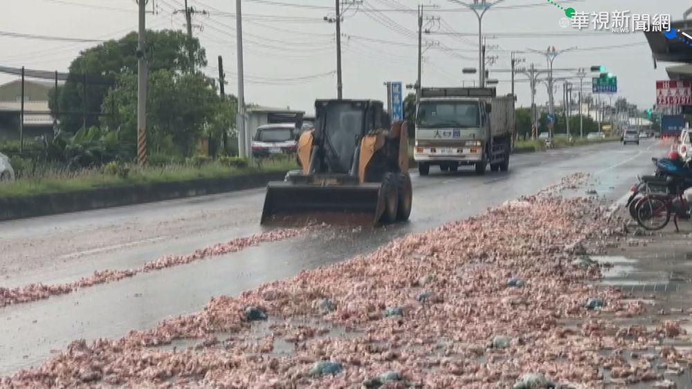 卡車未固定好? 生雞肉散落馬路飄惡臭