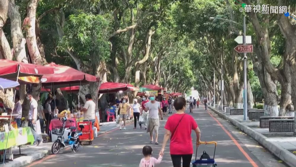 古坑綠色隧道重新開放 禁邊走邊吃