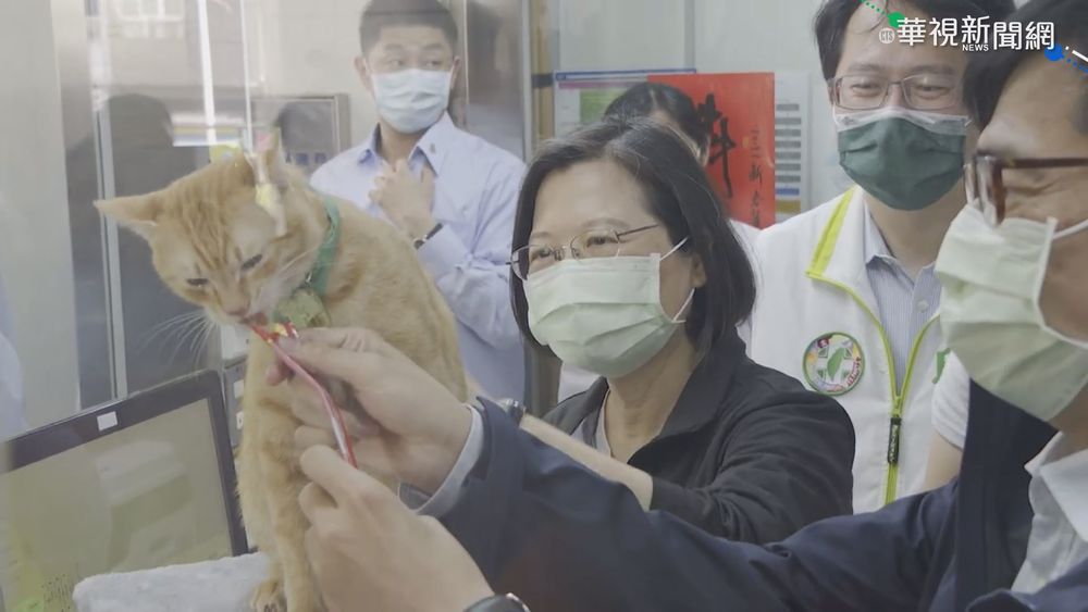 走私貓遭安樂死 總統:難過喊"修法"