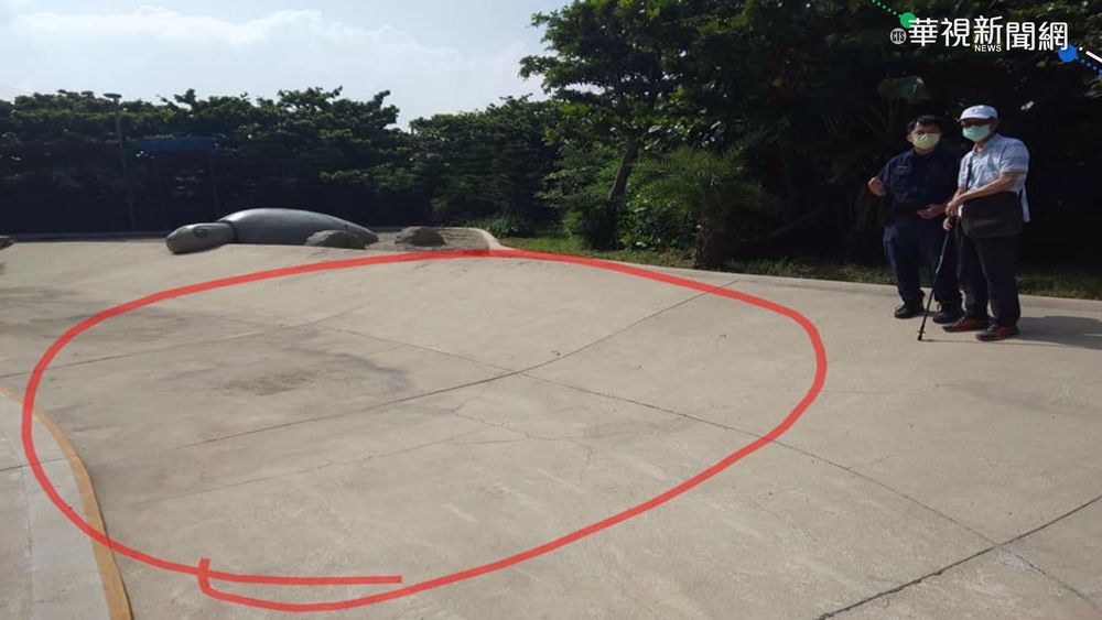 7旬婦遭6隻狗狂追 跌倒頭撞地不治