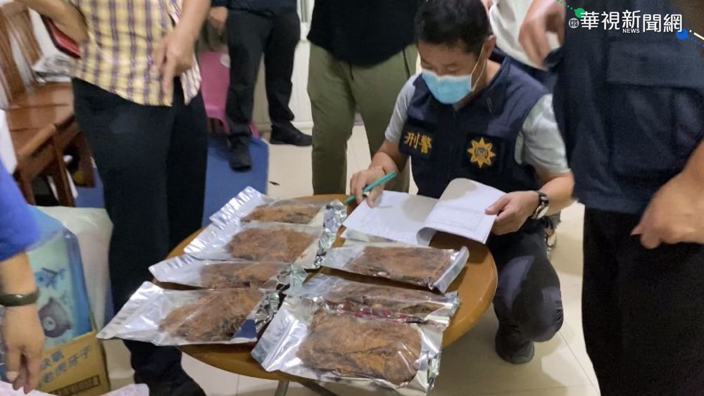 防堵非洲豬瘟 環署查676家廚餘養豬場