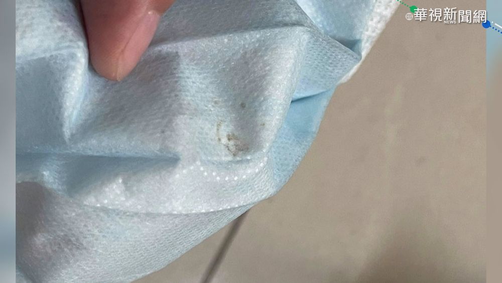 超噁! 口罩驚見小強 整隻壓扁在內層