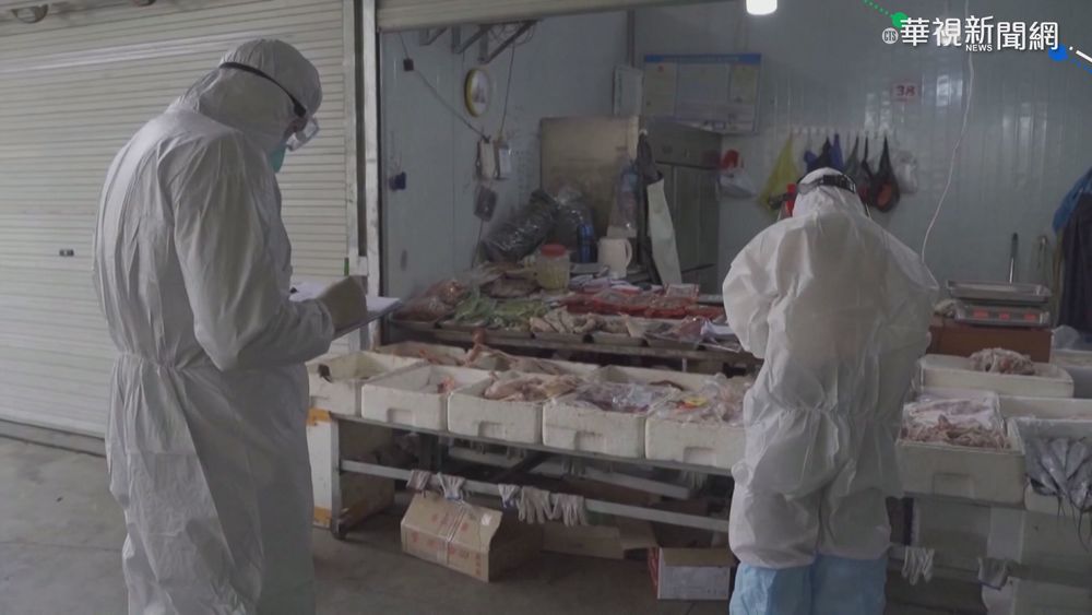 追查新冠病毒起源 白宮預告近日公布