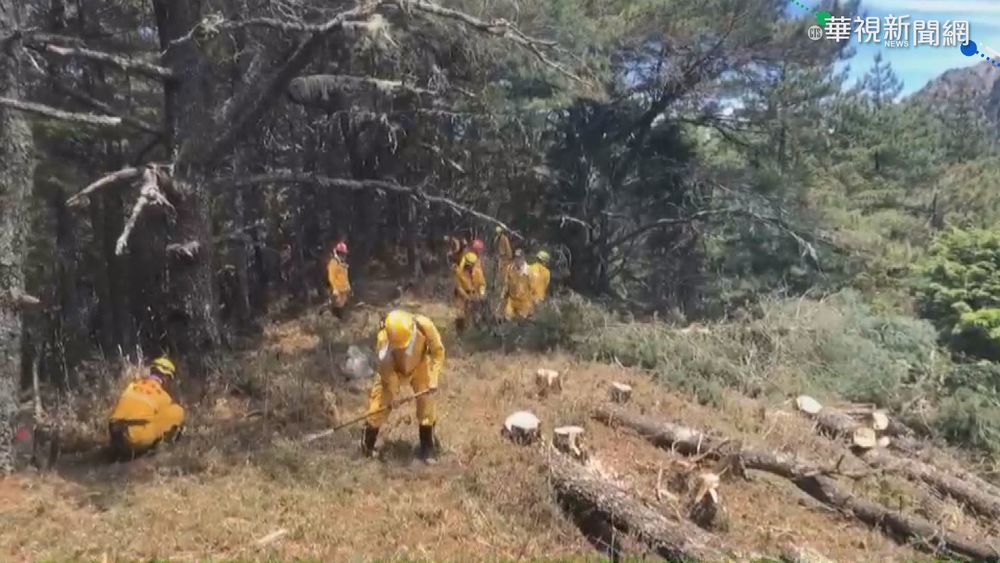 登山不慎引發火警 NCC前專委被起訴