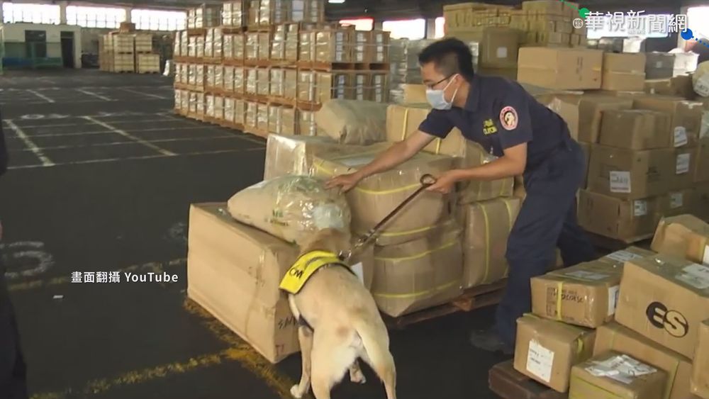 非洲豬瘟肉品侵台 入境包裹防疫破口?