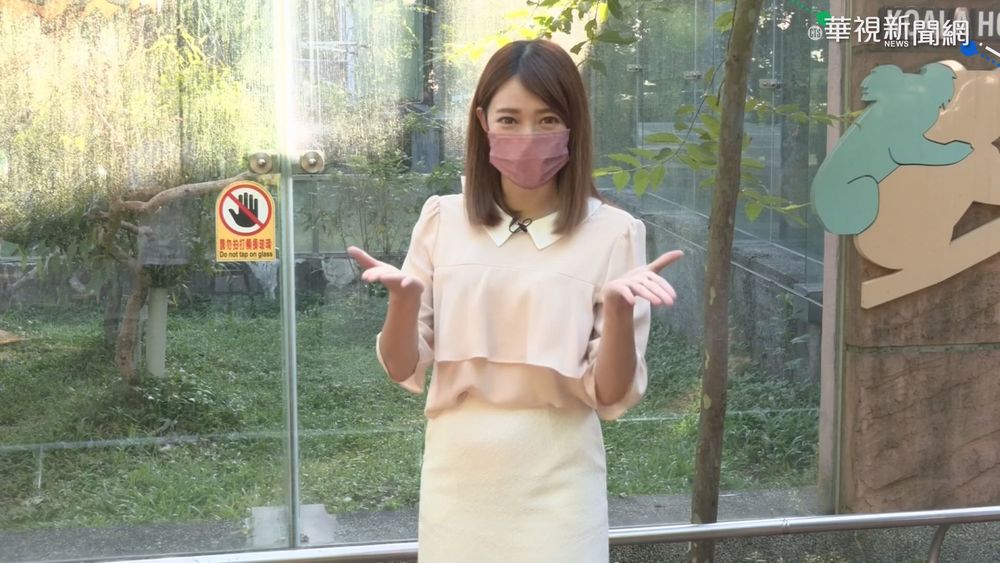 週末出遊"趣" 華視生活氣象報你知!