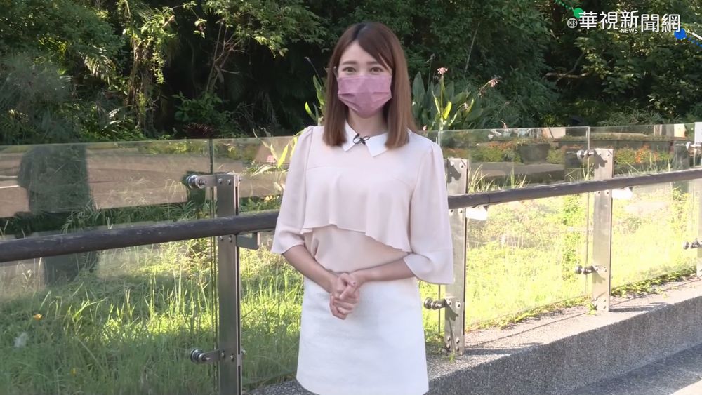 週末出遊"趣" 華視生活氣象報你知!