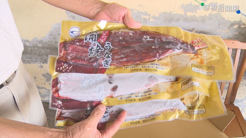 疫情害鰻魚外銷量減 業者研發真空包裝